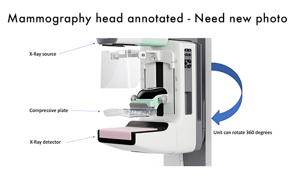 Placeholder - mamography head